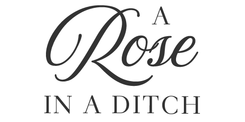 Rose in a Ditch
